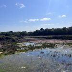 Campo de 11 hectáreas con costa sobre Arroyo Maldonado