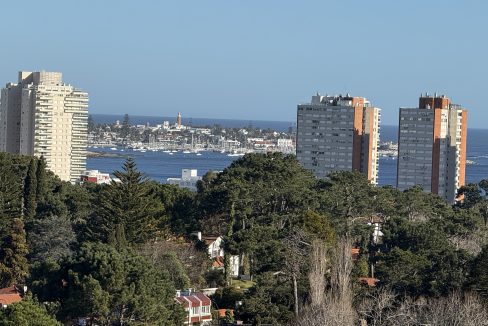 IMG_7999