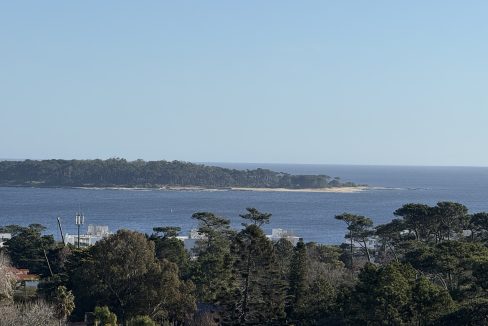 IMG_8001